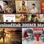 DownloadHub 300MB Movies